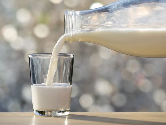 Чому скисає молоко